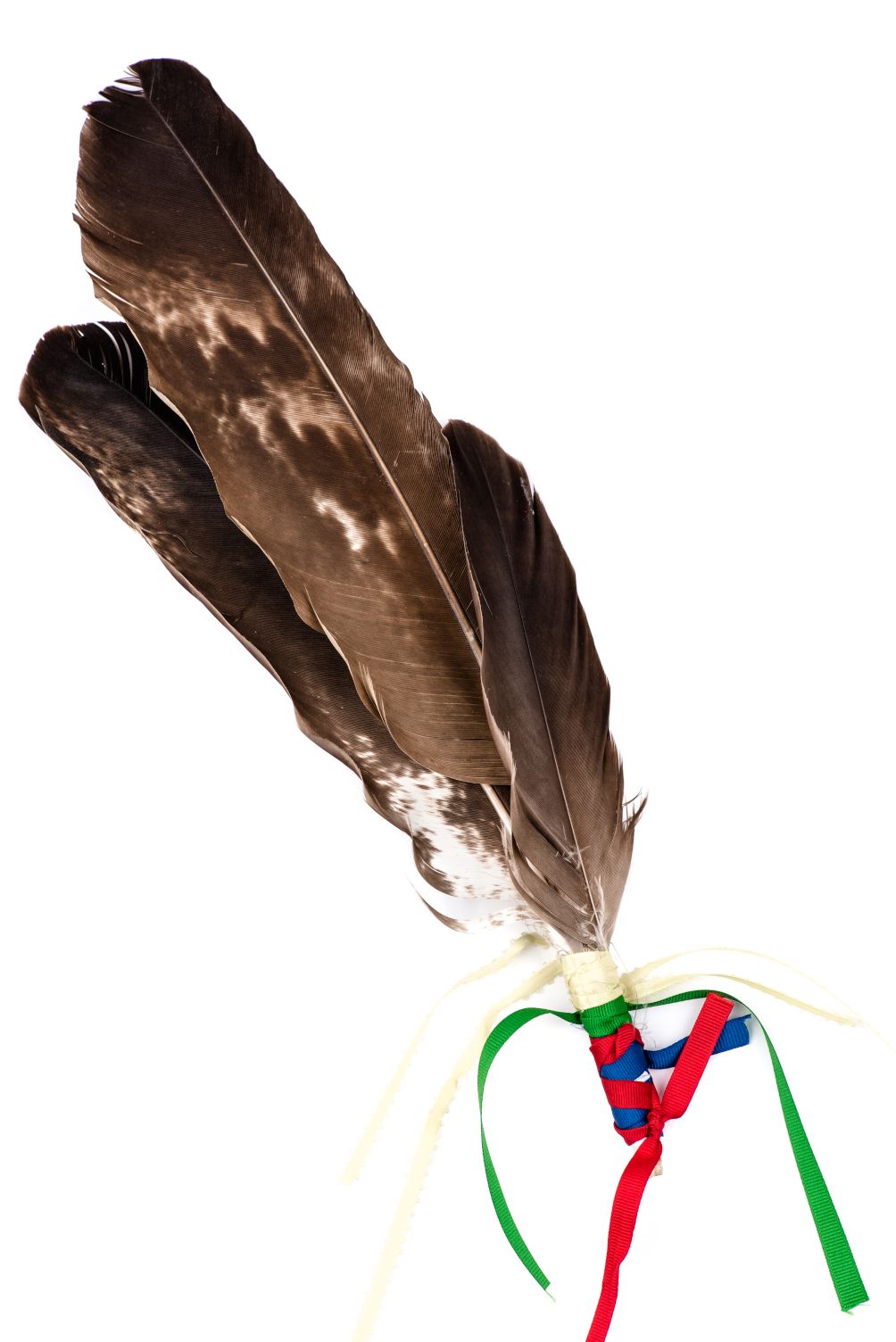 Awards & Recognition