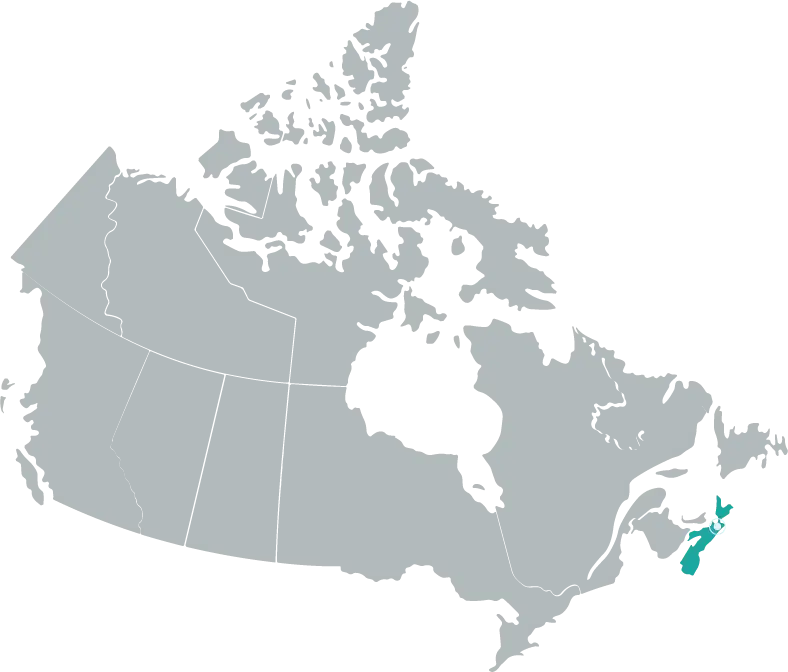 Project Map