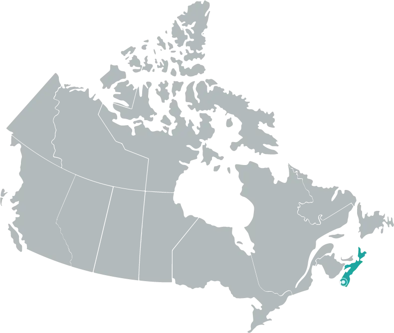 Project Map